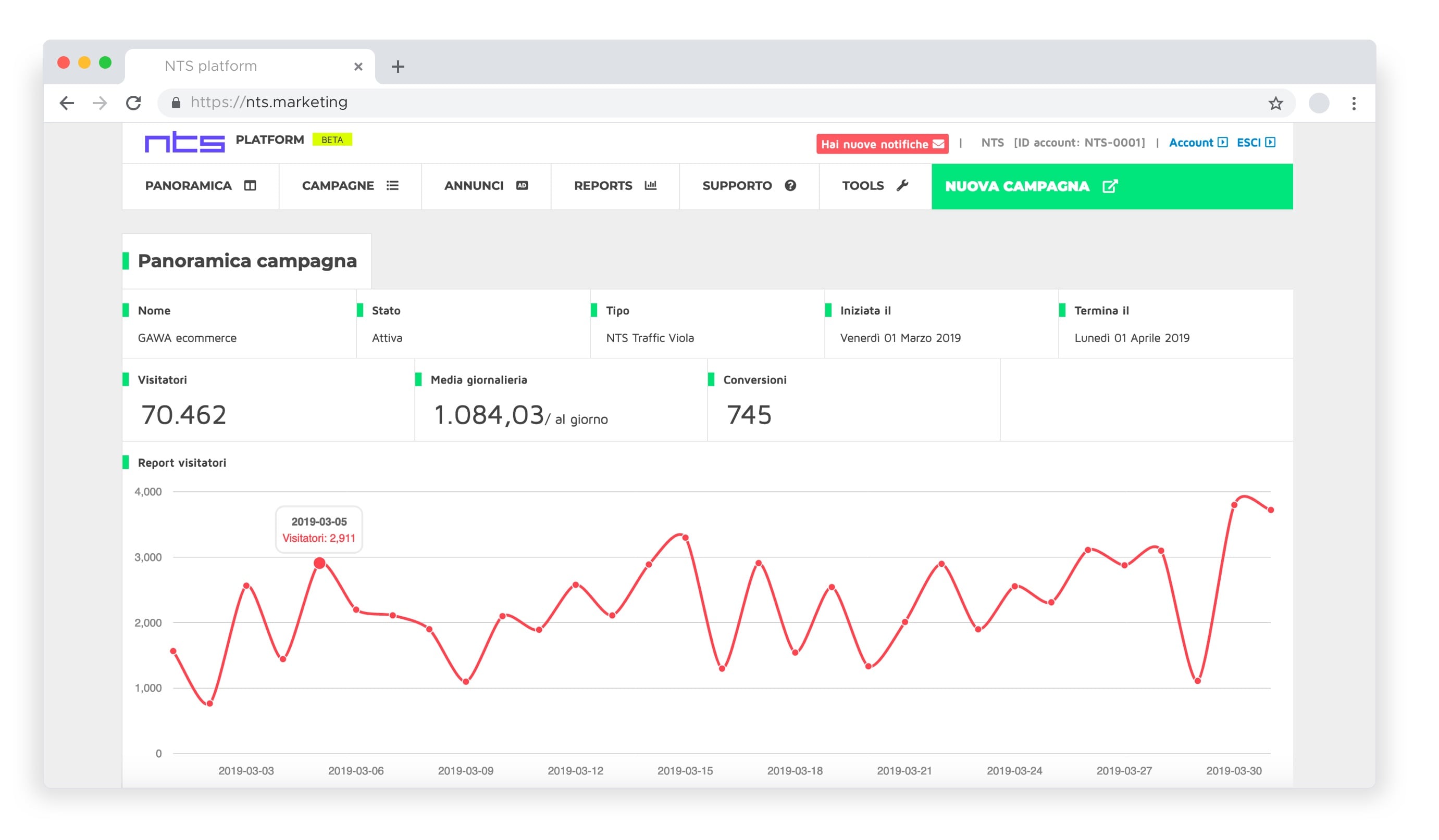 Traffico sito web